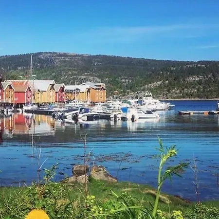 Palberget *